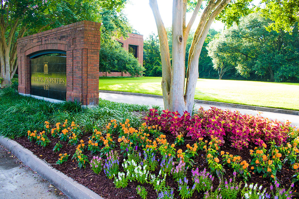 Landry's Landscape Portfolio